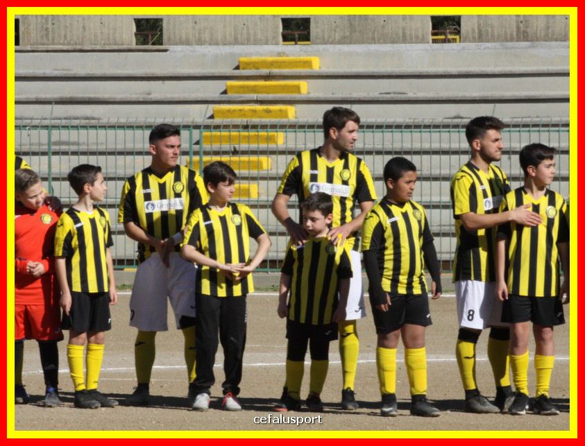 190310 Cephal_Torrenov 038_tn.jpg